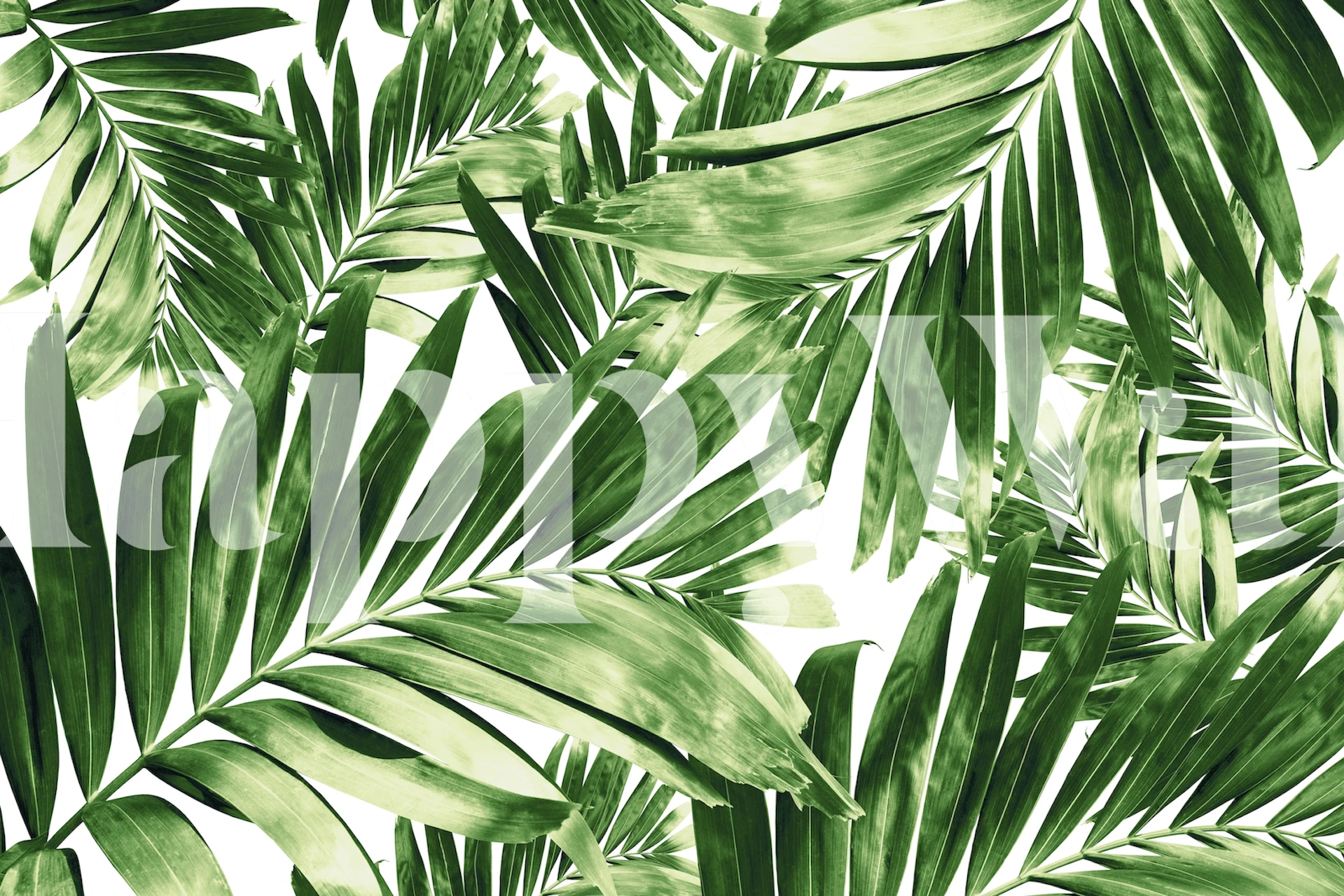 Palm Leaves Pattern Love 2 tapet i ett rum