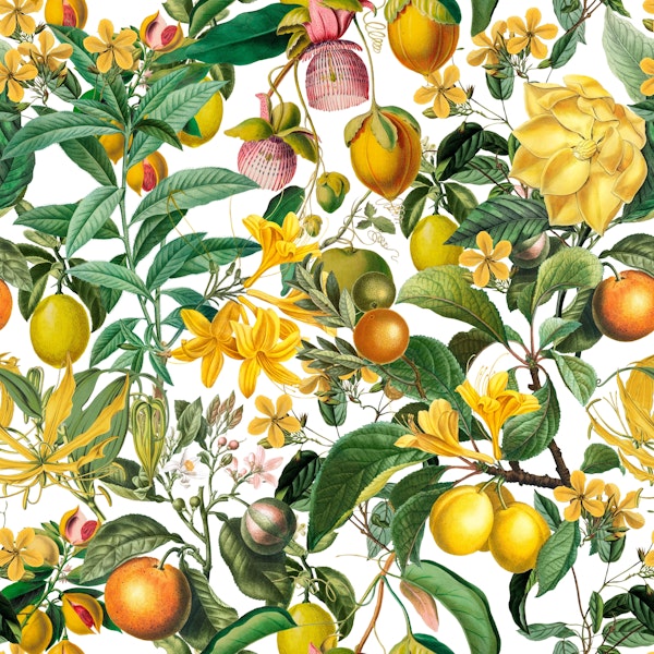 Tropical Fresh Summer Fruits White