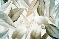 tropical leafy forest papiers peint