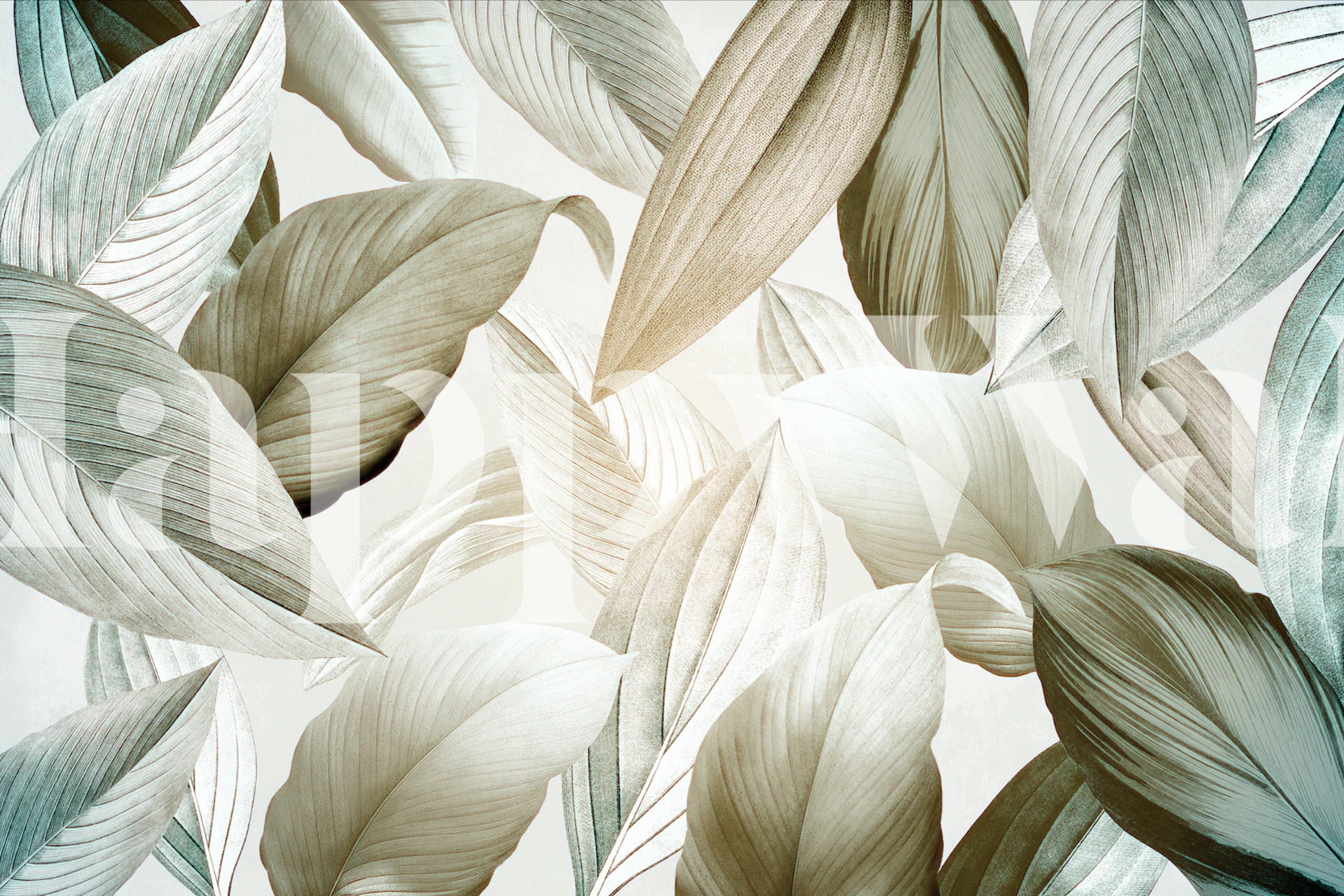Papier peint Tropical leafy forest dans une pièce