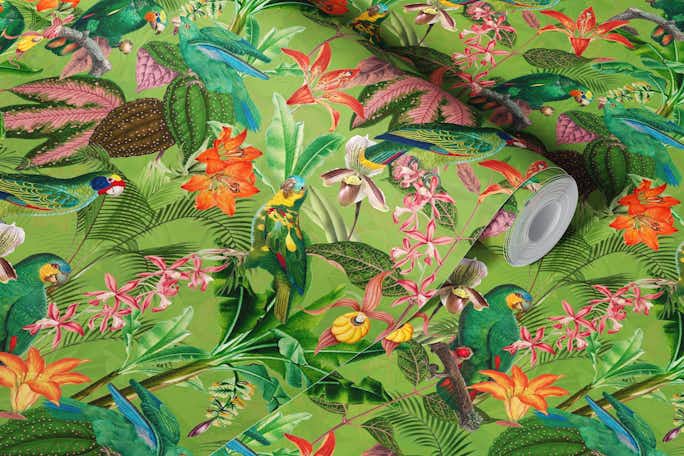 Colorful Tropical Birds Rainforestwallpaper roll