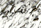 Classic White Marble Gold 1
