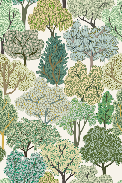 Pattern