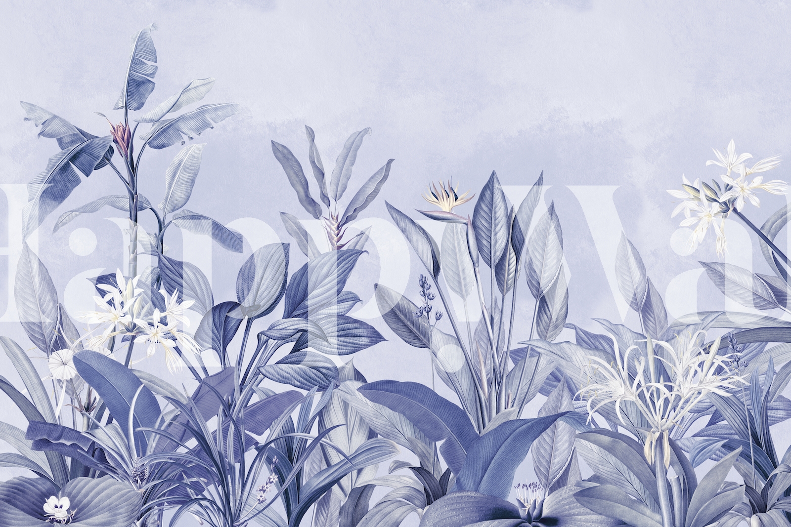 Exotic Vintage Late Afternoon Garden Wallpaper