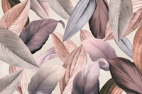 tropical leafy late afternoon forest papiers peint