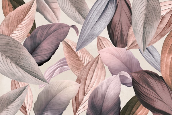 tropical leafy late afternoon forest