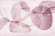 Warm Abstract Art