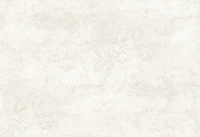 Abstract old wall warm grey tapeta