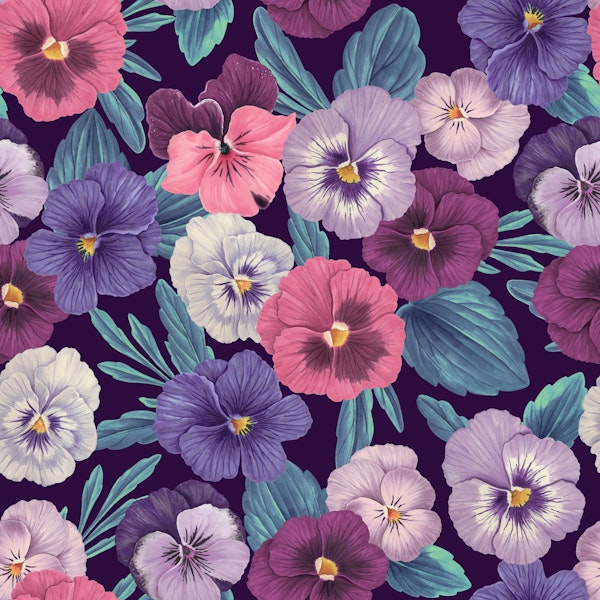 Colorful pansies on deep violet