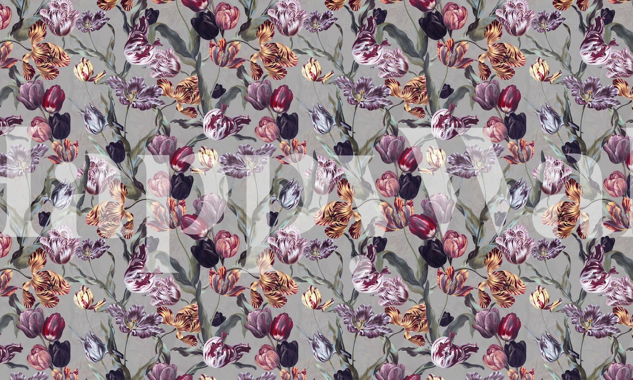 Colorful tulip flowers in purple and red tones floral wallpaper