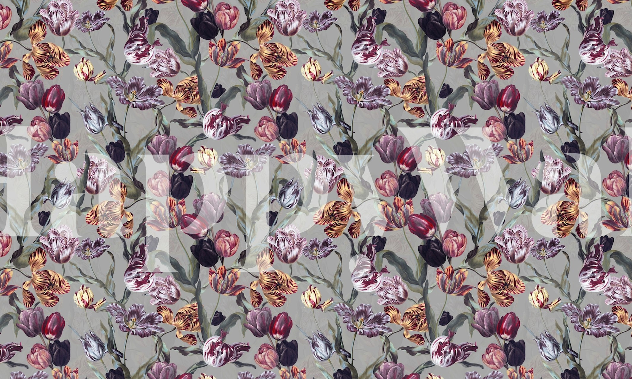 Colorful tulip flowers in purple and red tones floral wallpaper