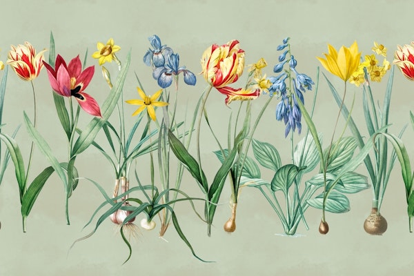 Nostalgic Springflowers Meadow