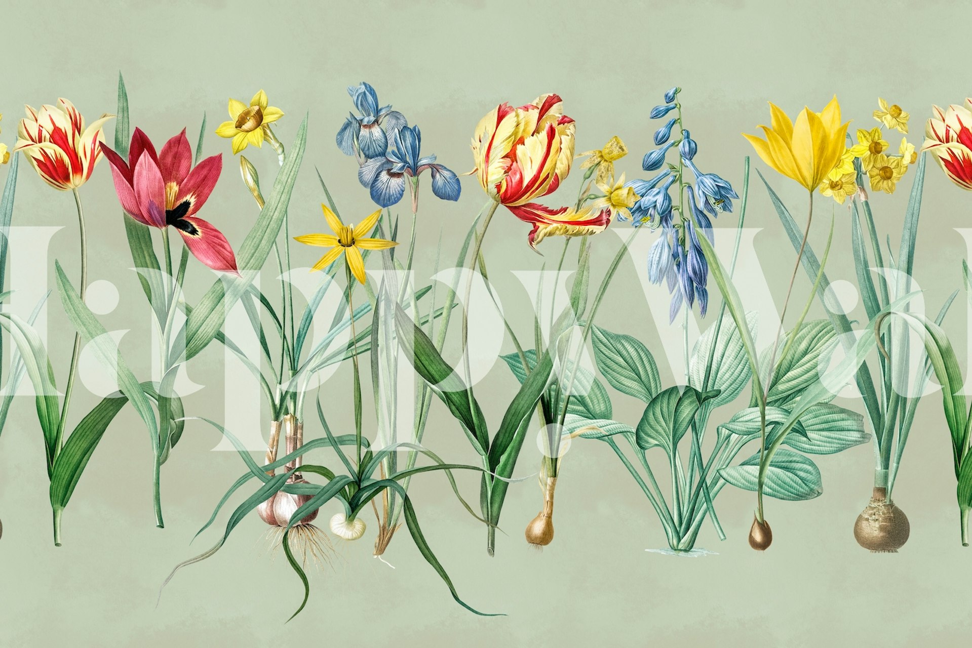 Nostalgic Springflowers Meadow wallpaper in a room