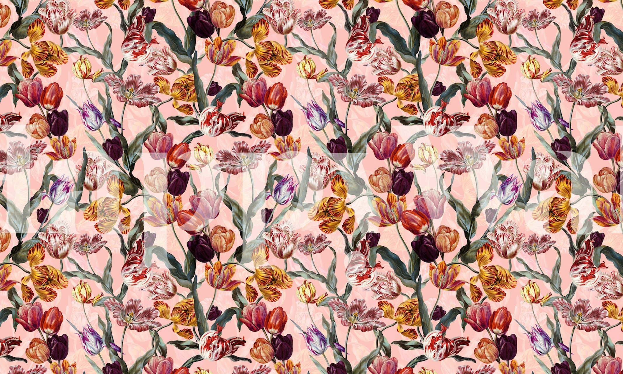 Colorful tulip flowers with green leaves on pink background wallpaper