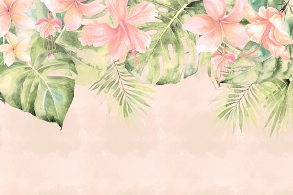 Morning Glory In Exotic Paradise