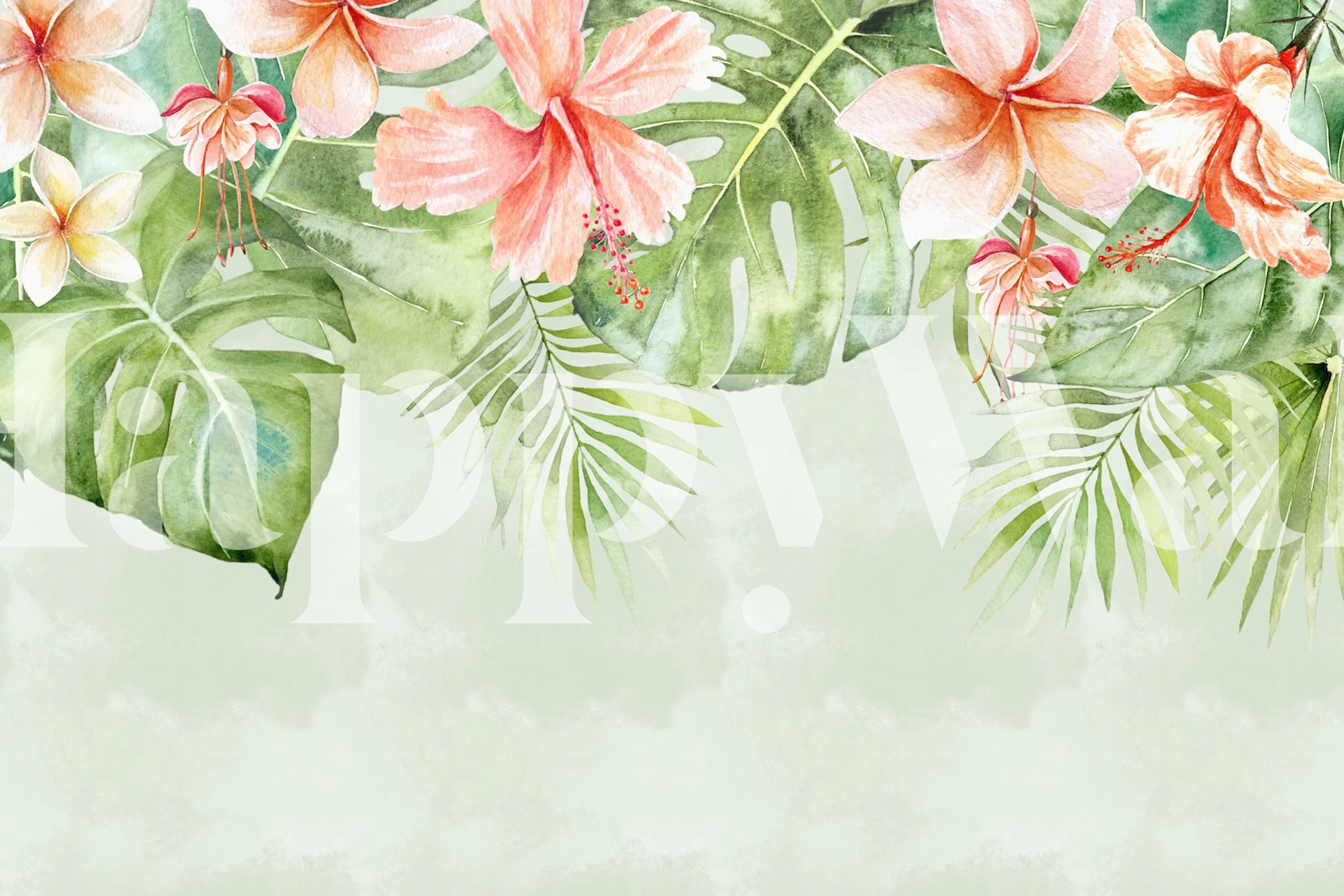 Vibrant tropical flowers and green leaves wallpaper
