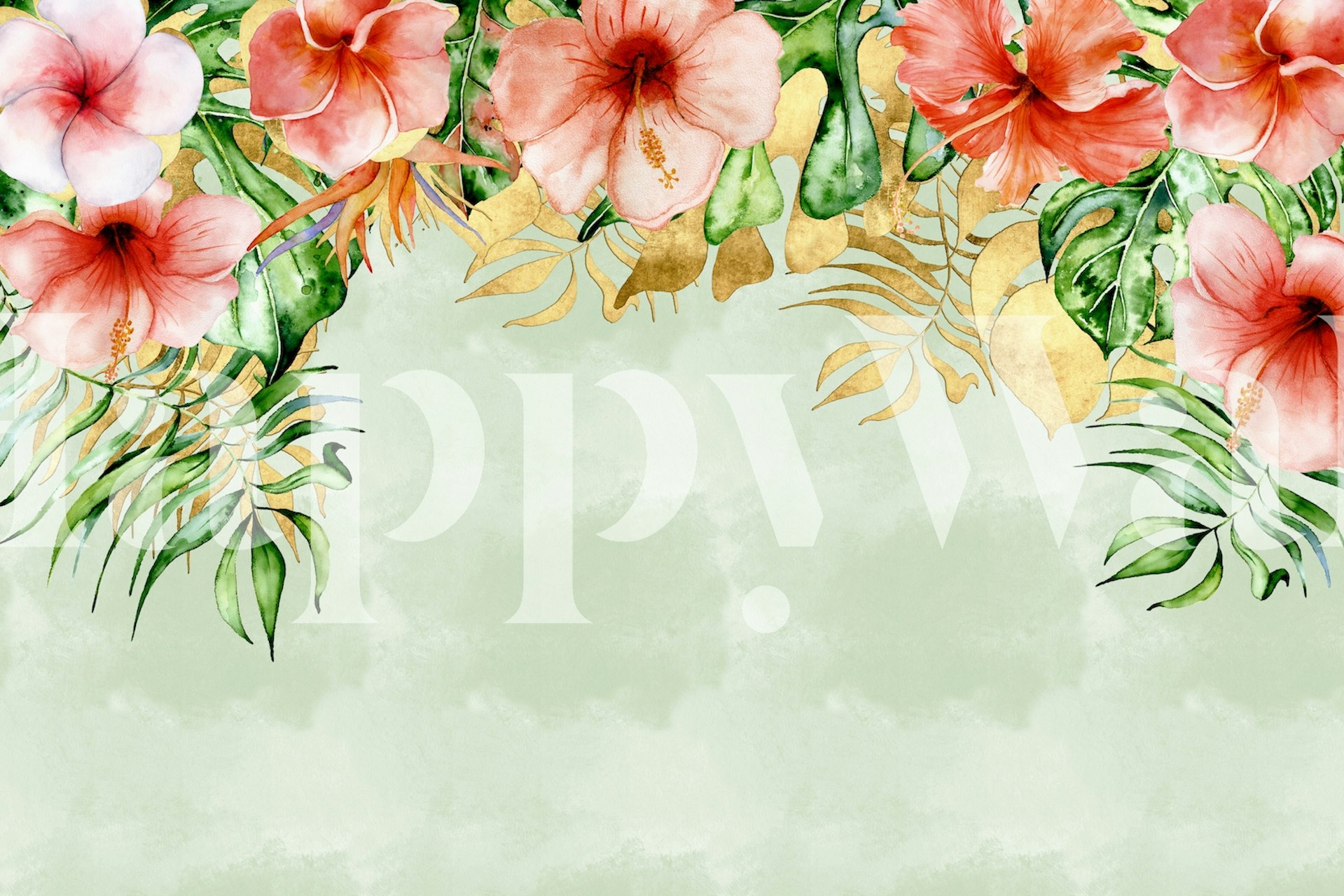 Hibiscus flowers in pink and white, green tropical leaves, watercolor style wallpaper
