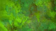 Moss Dream