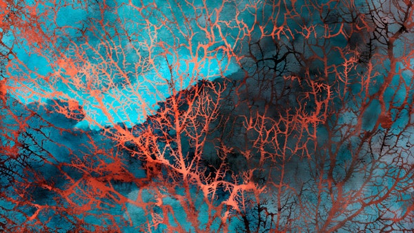 Dreamy Watercolor Coral Moss