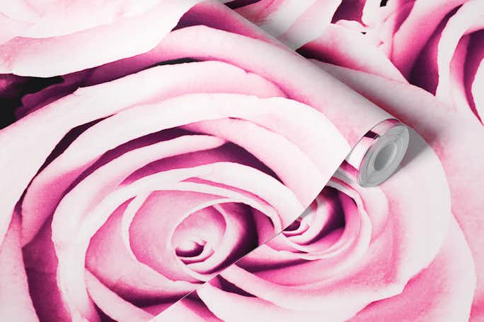 Pink roseswallpaper roll
