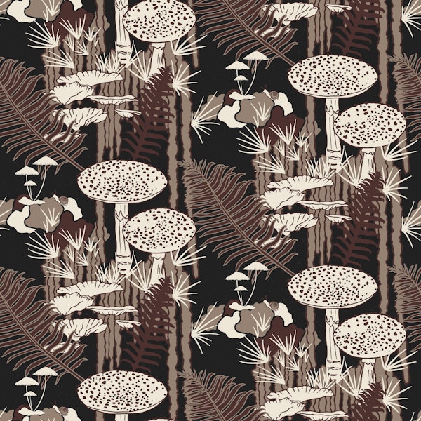 Forest Floor in Winter