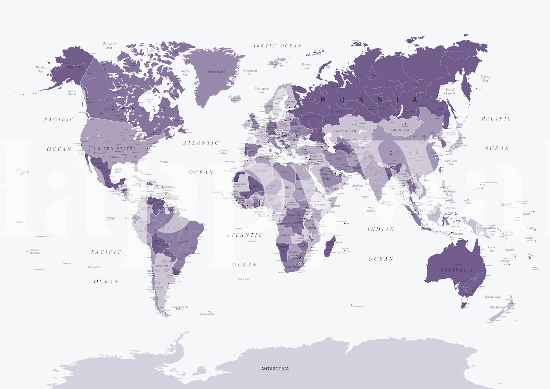 World Map in Purple behang in paarse tinten