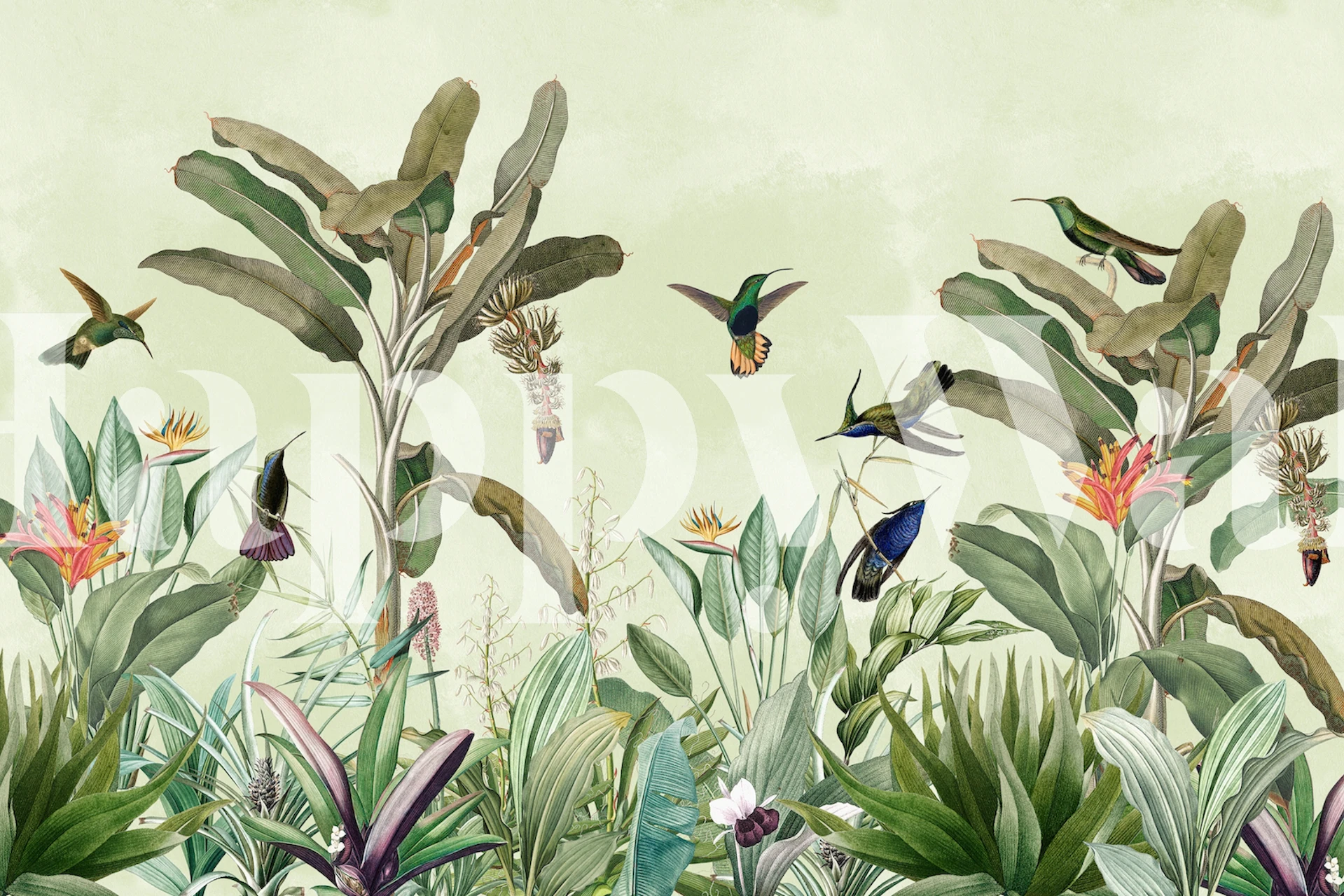 Tropical foliage with colorful hummingbirds and flowers wallpaper