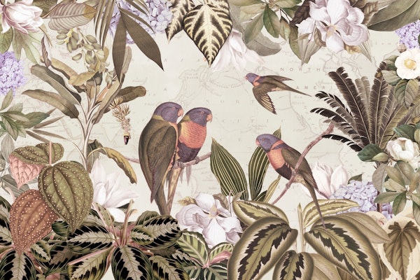 Exotic Parrot Adventure