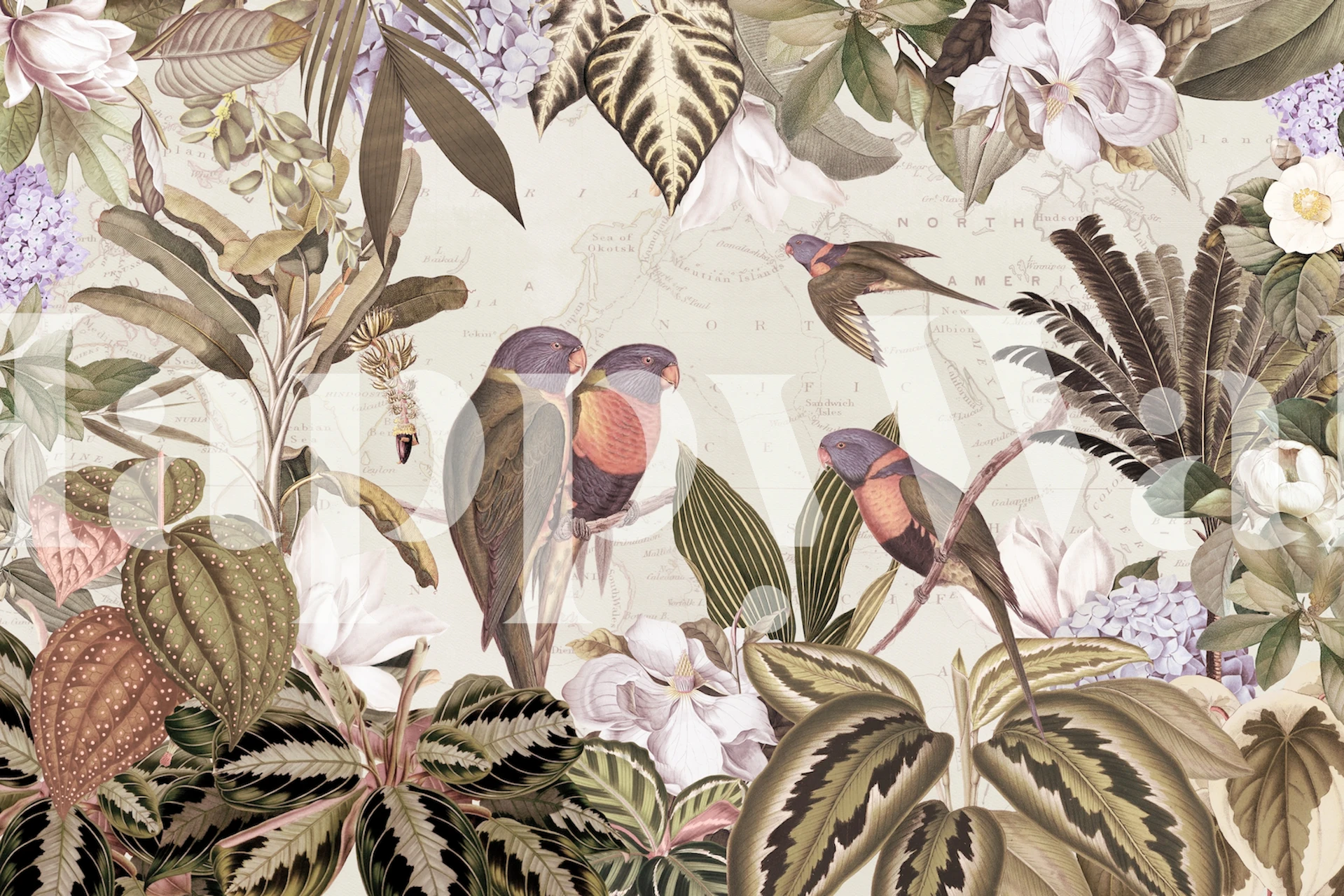 Exotic Parrot Adventure Tapete in einem Raum