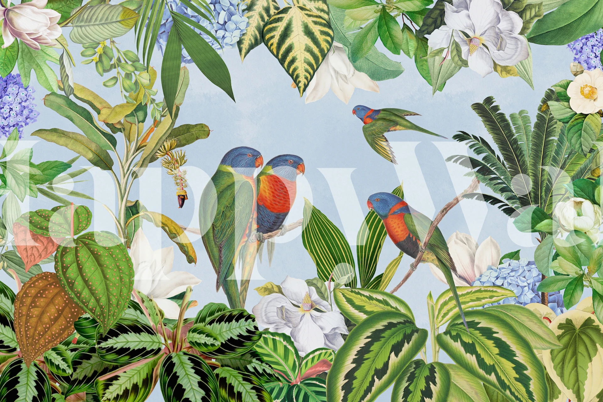 Exotic parrot tapetti kirkkaassa sisustuksessa