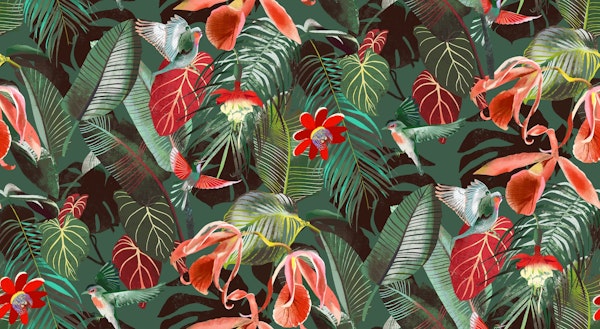 dark jungle hummingbirds palm fronds