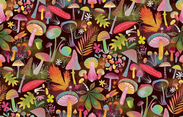 mushroom forest oak leaves