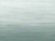 Painted wall gradient sage green