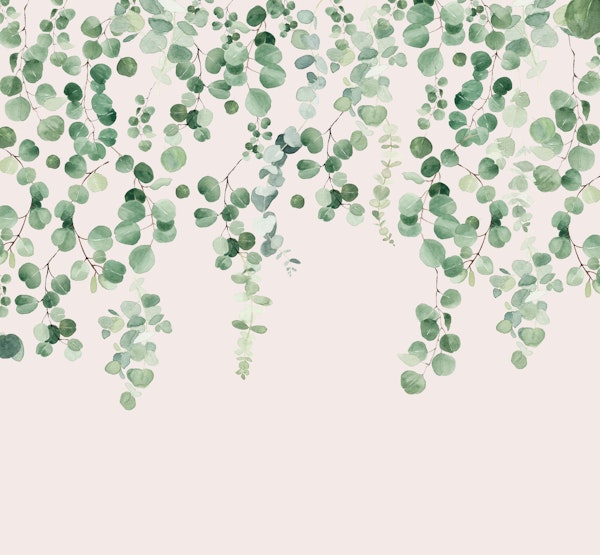 Eucalyptus Wall in Pink and Green
