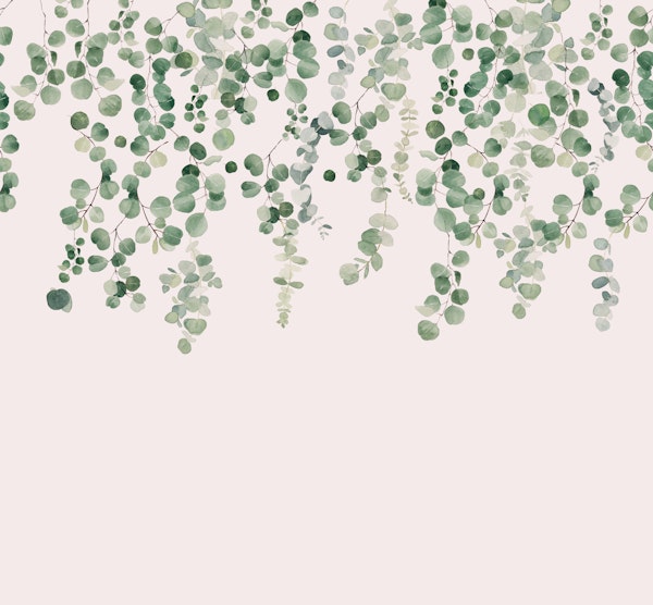 Eucalyptus Wall in Pink and Green