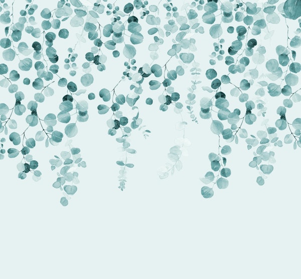 Eucalyptus Wall in Teal