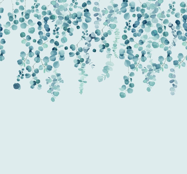 Eucalyptus Wall in Teal