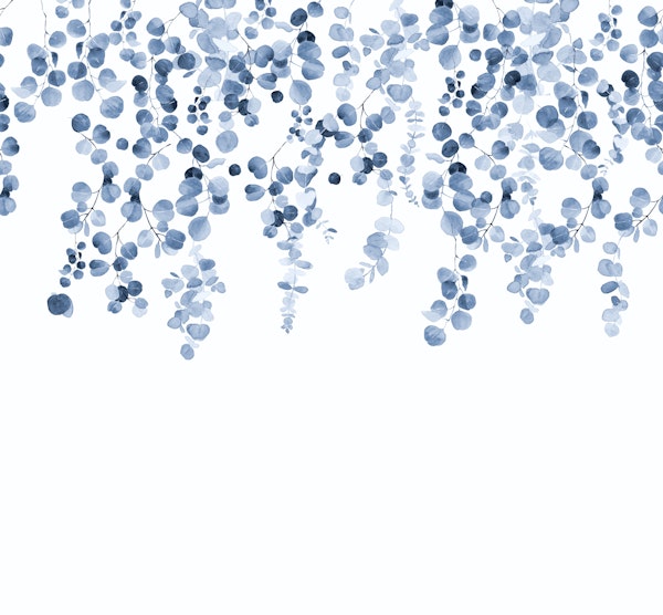 Eucalyptus Wall in Blue