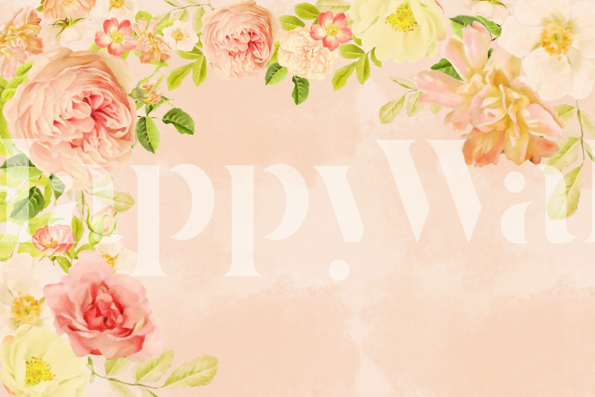Peach and white vintage floral wallpaper with rose blossoms
