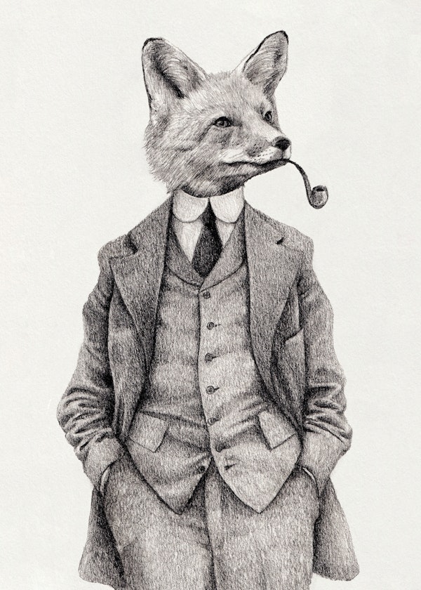 The Fox