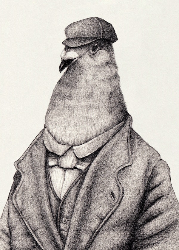 Pigeon of Yesteryears