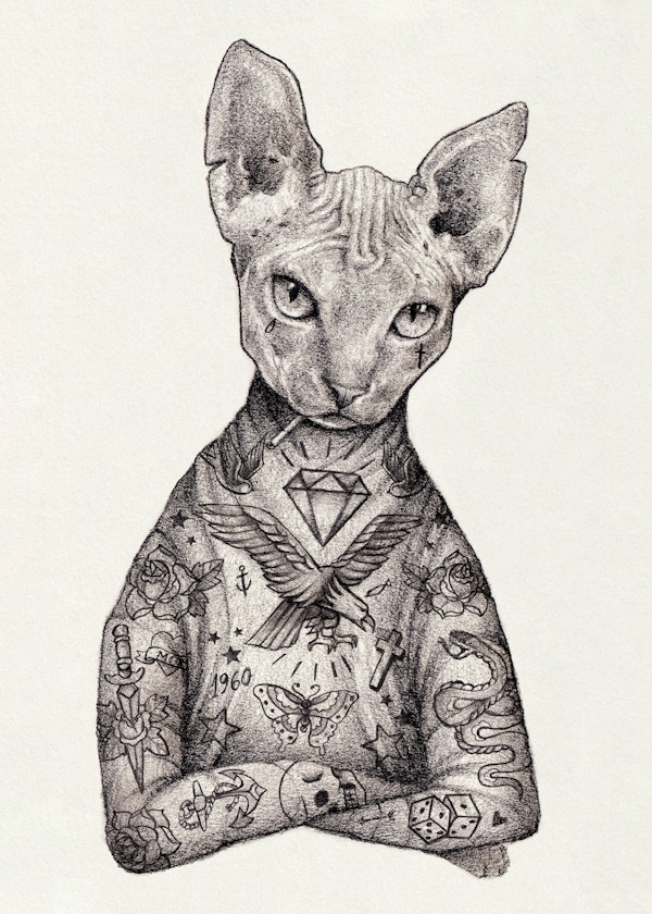 Sphynx