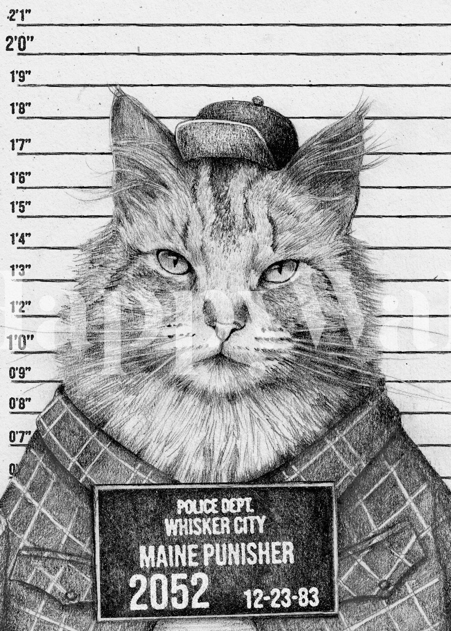 Fototapete „Maine Punisher“ mit Katzendetektiv und Fahndungsfoto