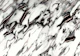 White Marble Rose Gold Foil 1