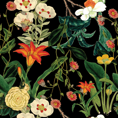 Pattern