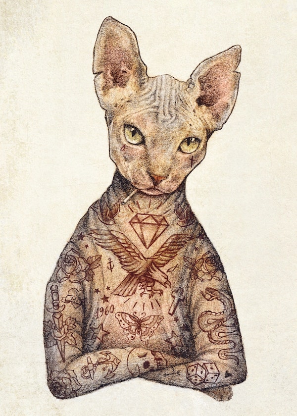 Sphynx II