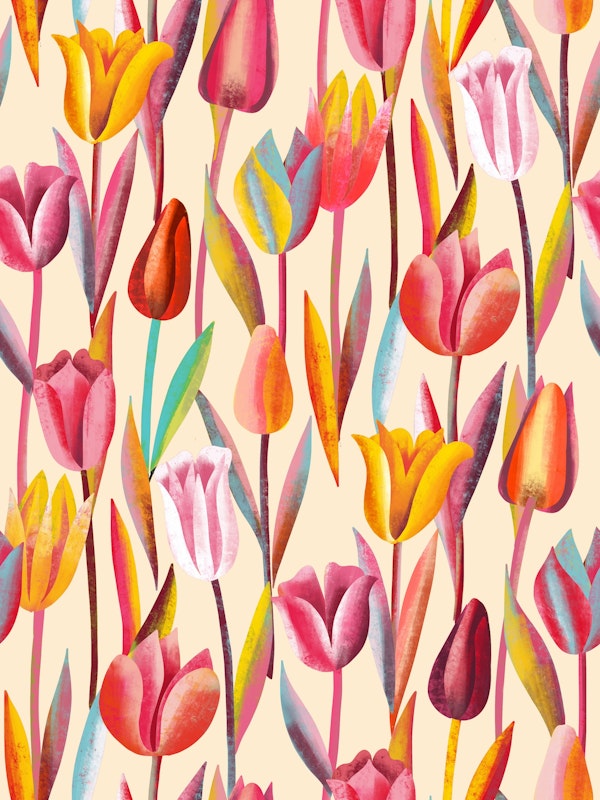 colorful tulips in bloom