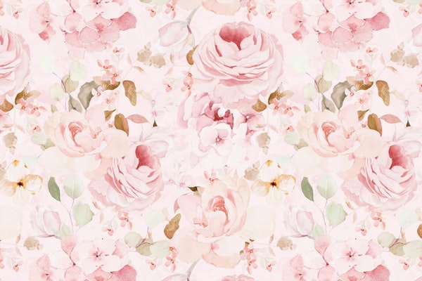 Soft Blush Peonies Spring Flower Garden