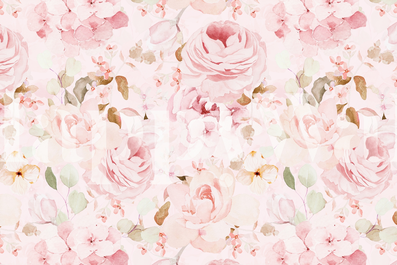 Soft Blush Peonies Wallpaper - happywall.com