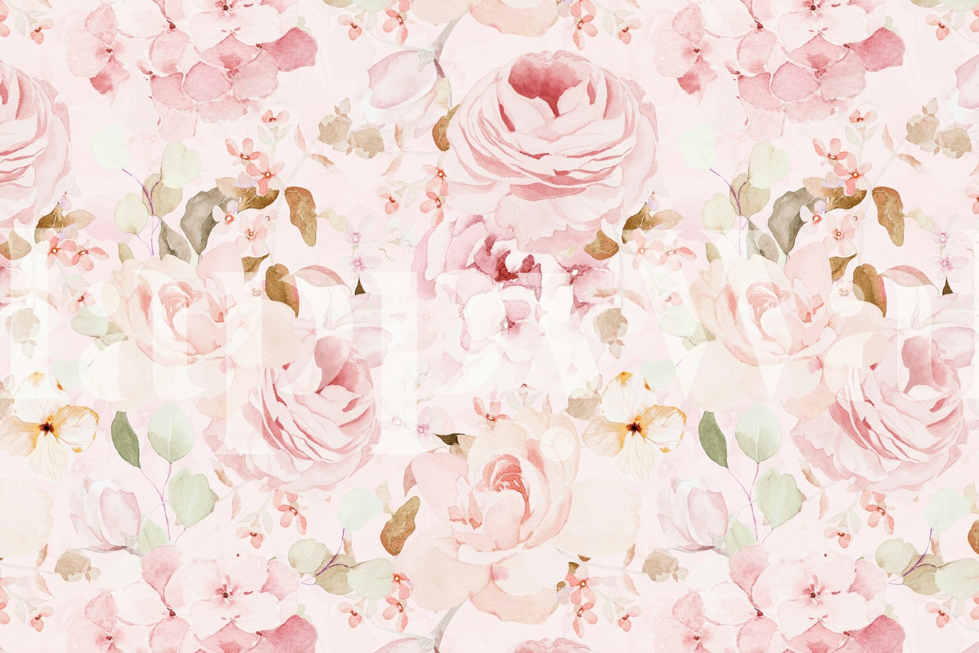 Soft Blush Peonies design de papier peint floral